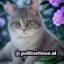 用户资源猎人的头像，戴帽子的年轻人，擅长在网络上寻找各类资源